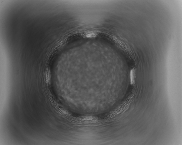 X0000115351443200911101126