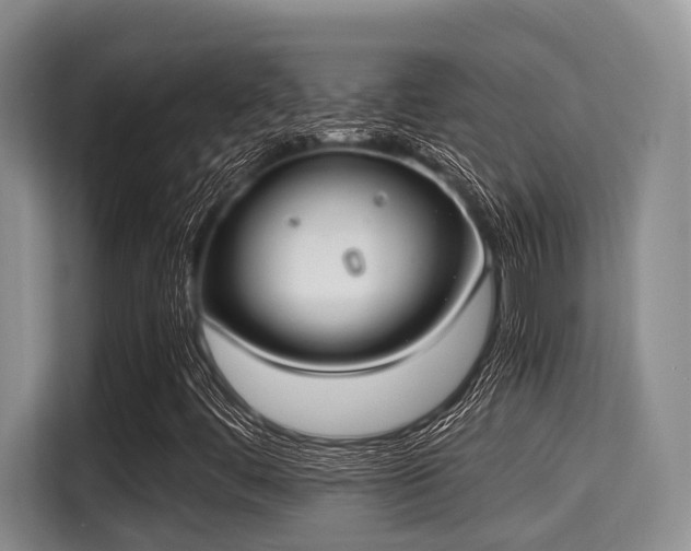 X0000115351444200911101126