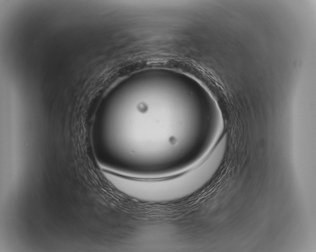 X0000115351445200911101126