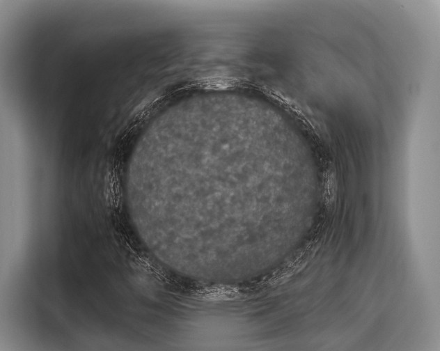 X0000115351446200911101126
