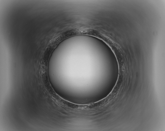 X0000115351447200911101126