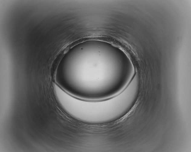 X0000115351449200911101126