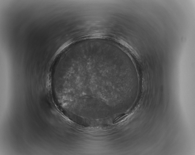 X0000115351450200911101126