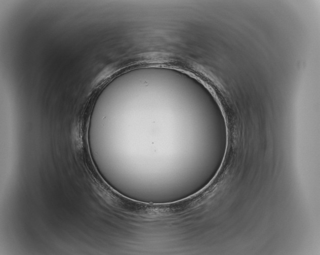 X0000115351451200911101126