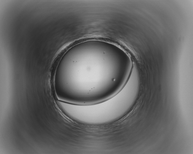 X0000115351452200911101126