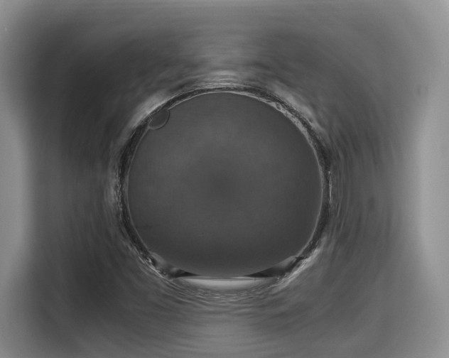 X0000115351453200911101126