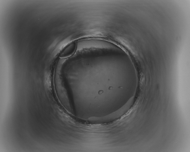X0000115351455200911101126