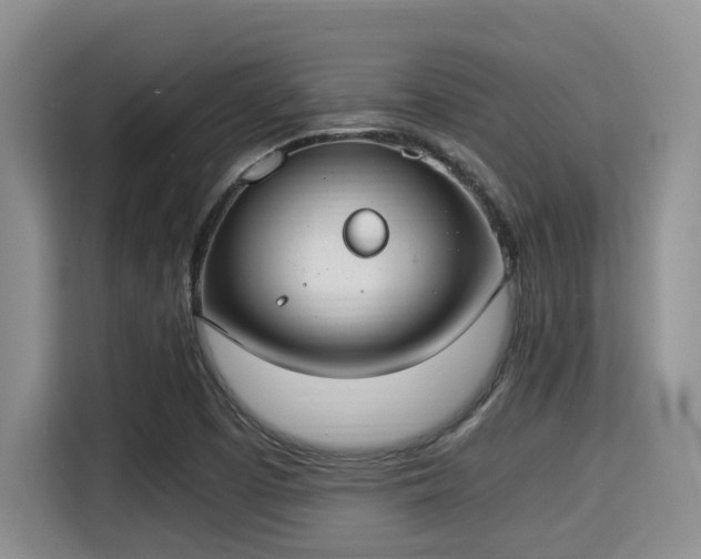 X0000115351457200911101126