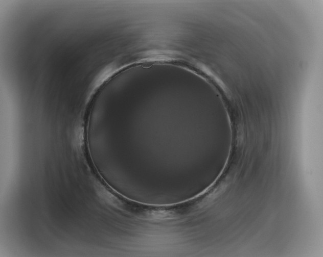 X0000115351459200911101126