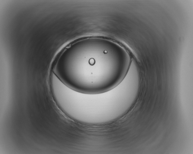 X0000115351460200911101126