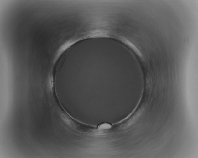 X0000115351461200911101126