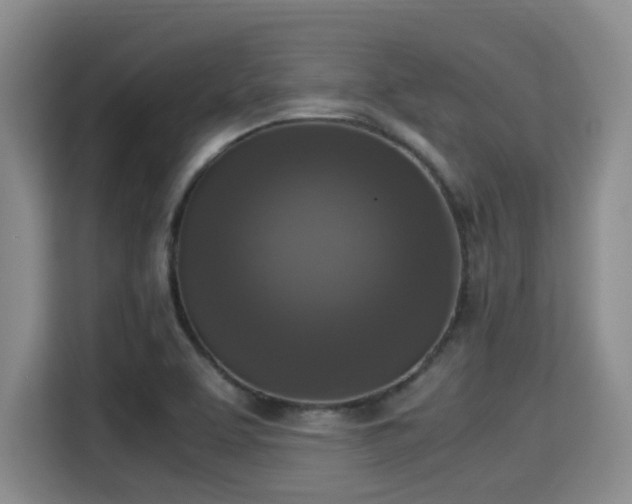 X0000115351463200911101126
