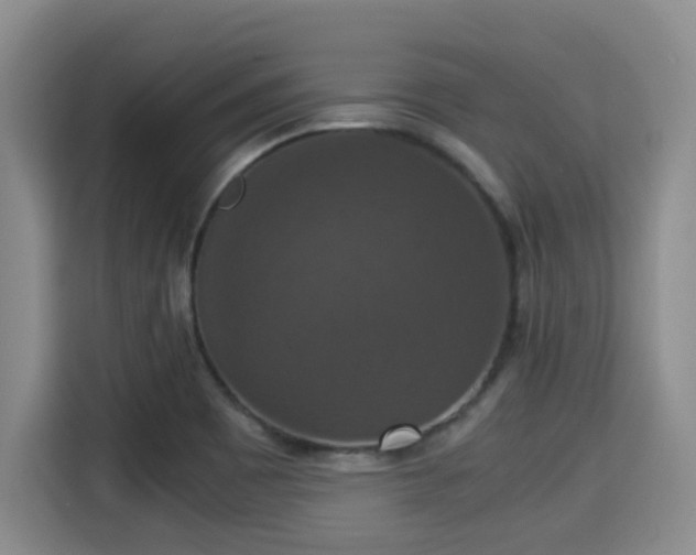 X0000115351465200911101126