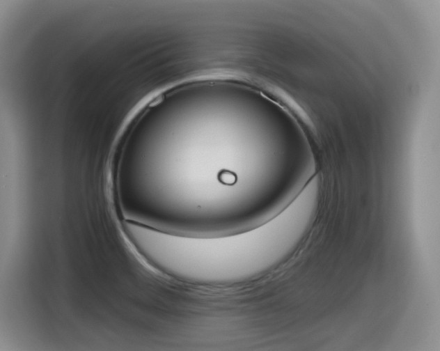 X0000115351468200911101126