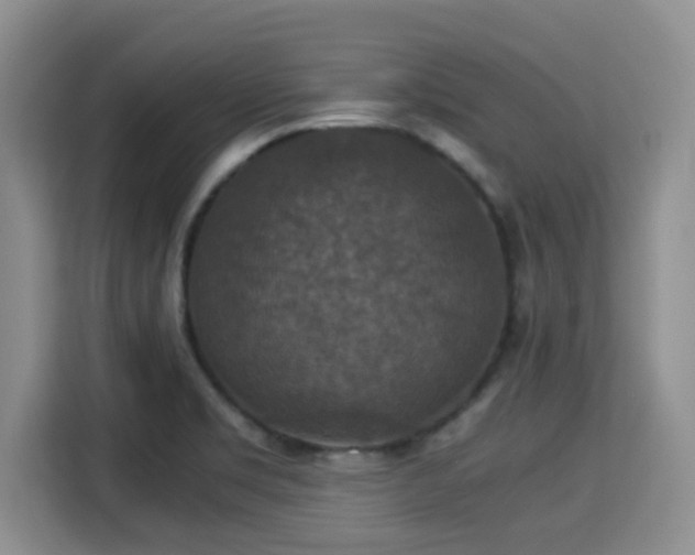 X0000115351469200911101126