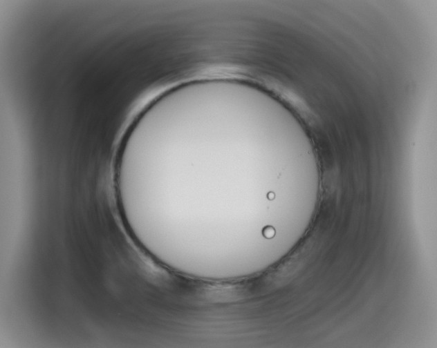 X0000115351470200911101126