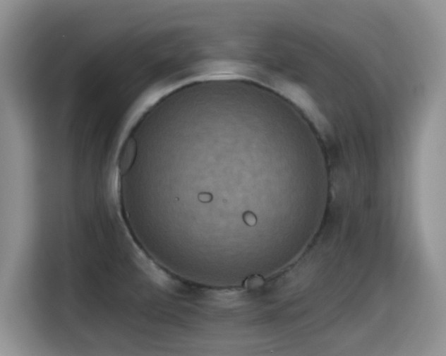 X0000115351472200911101126