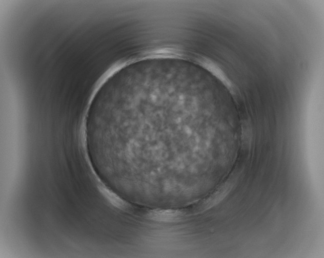 X0000115351474200911101126