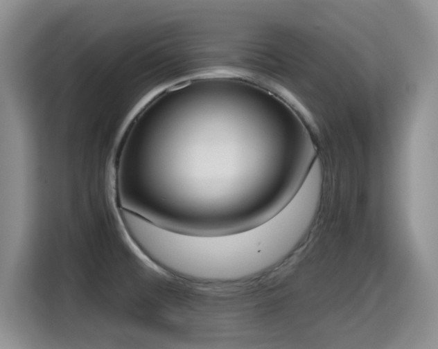 X0000115351476200911101126