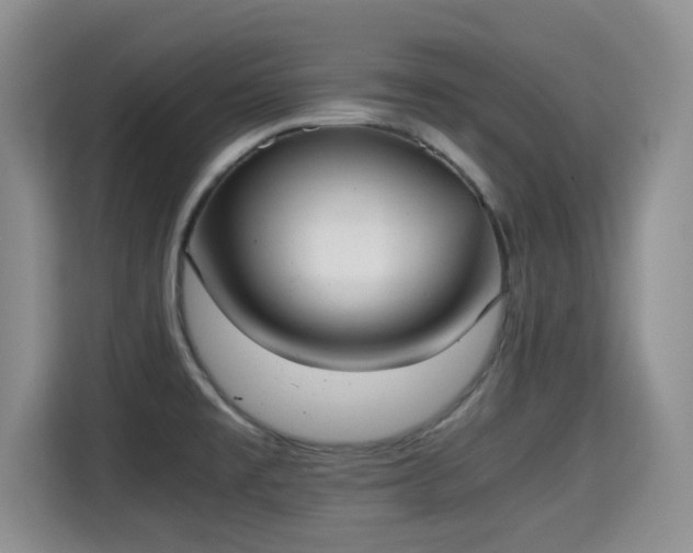 X0000115351477200911101126