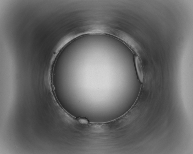 X0000115351480200911101126