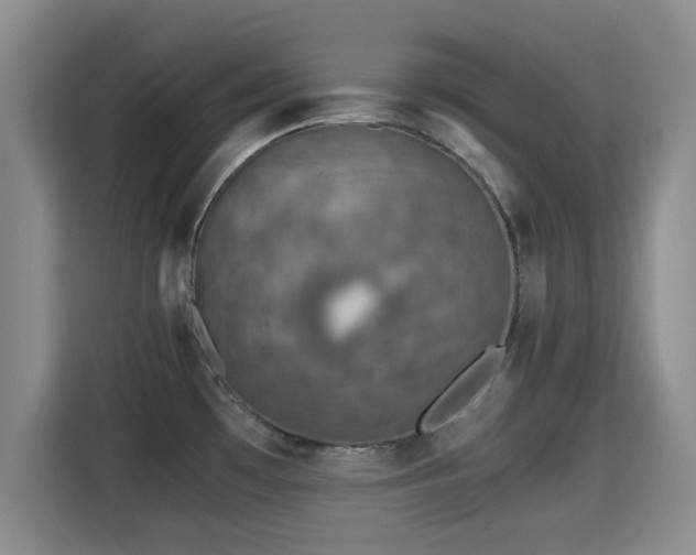 X0000115351481200911101126
