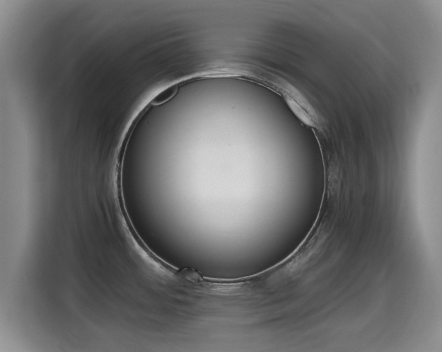 X0000115351484200911101126