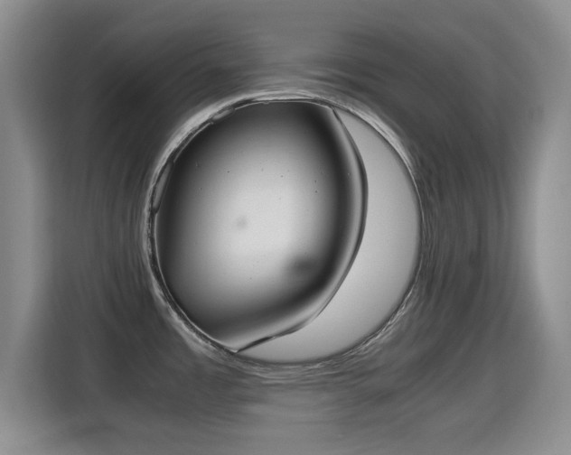 X0000115351485200911101126