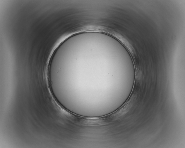 X0000115351486200911101126