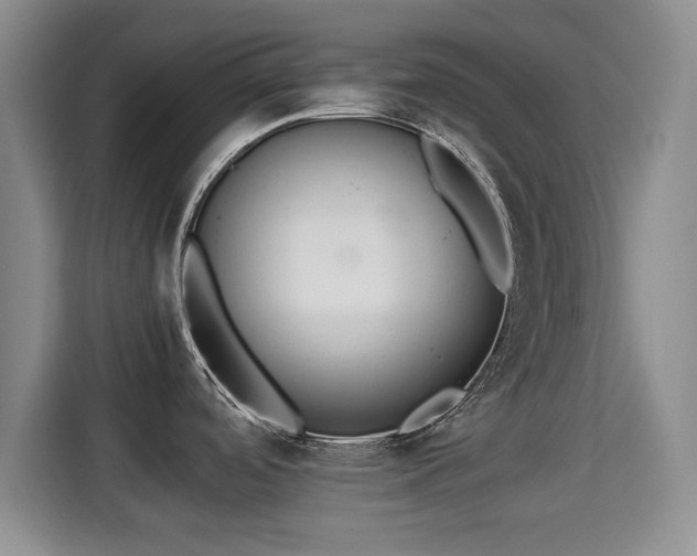 X0000115351488200911101126