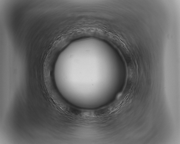 X0000115351489200911101125