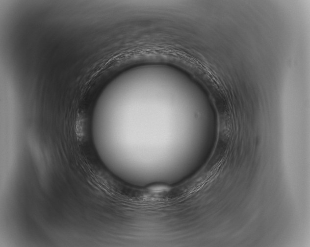 X0000115351490200911101125