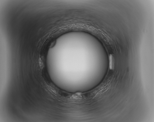 X0000115351491200911101125