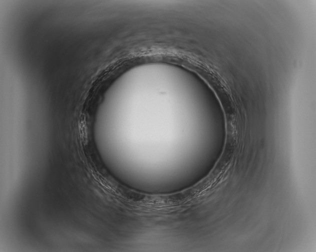 X0000115351493200911101125
