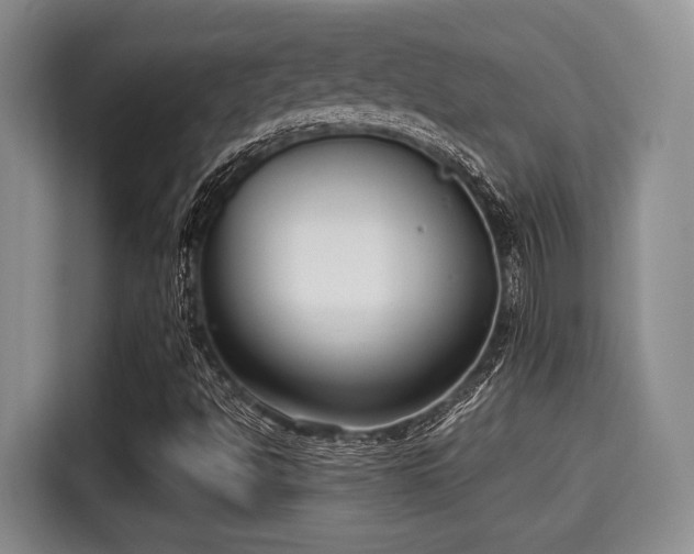 X0000115351494200911101125