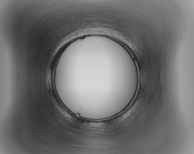 X0000115351498200911101125