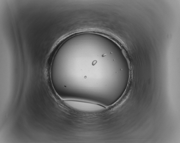 X0000115351501200911101125