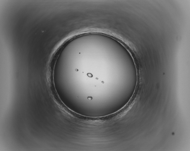 X0000115351502200911101125