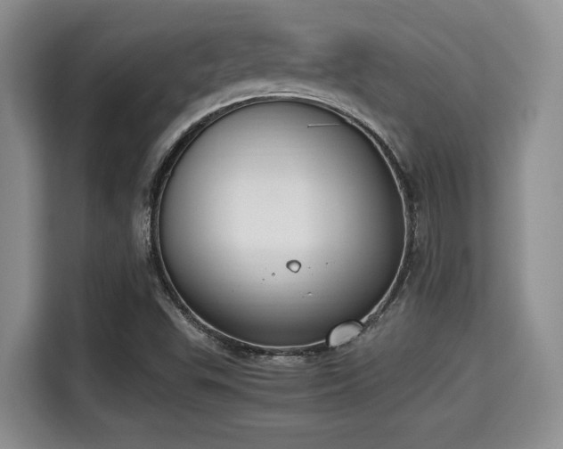X0000115351503200911101125