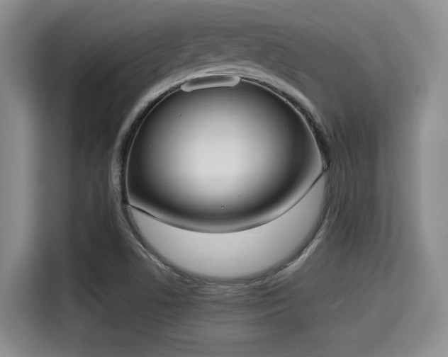 X0000115351506200911101125