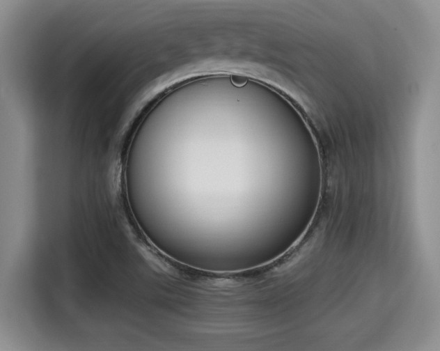 X0000115351507200911101125