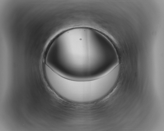X0000115351510200911101126