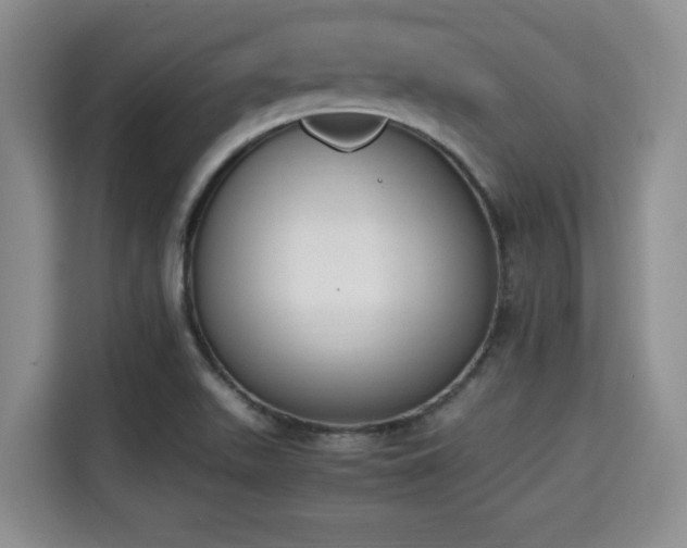 X0000115351511200911101126