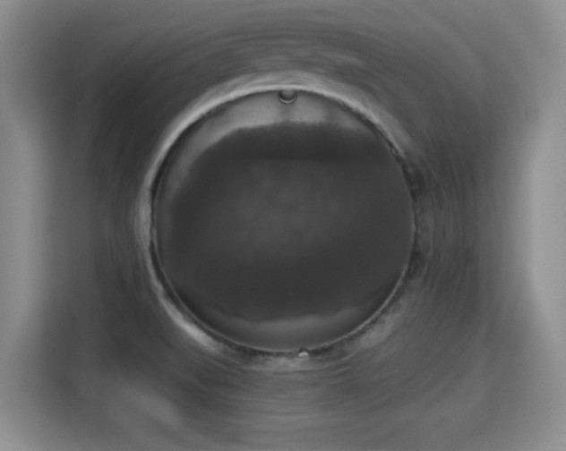 X0000115351519200911101126