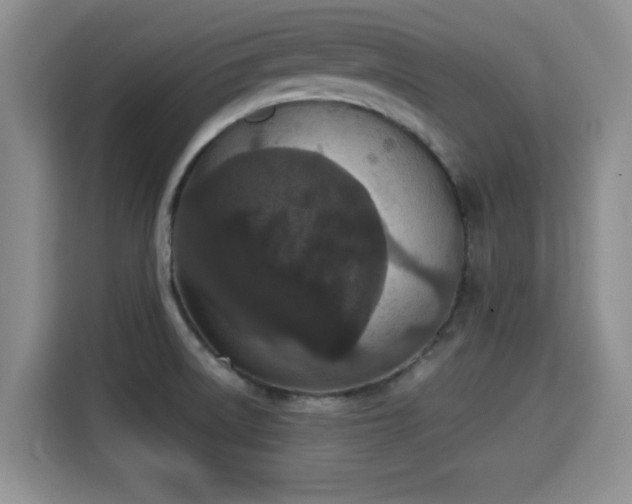 X0000115351522200911101126