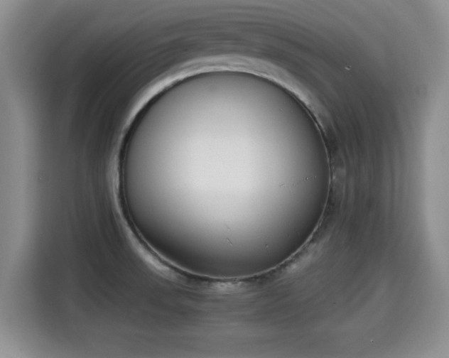 X0000115351523200911101126