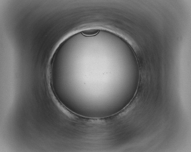 X0000115351526200911101126