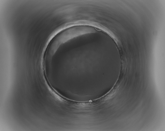 X0000115351527200911101126
