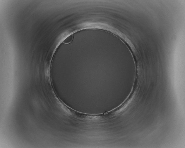 X0000115351529200911101126