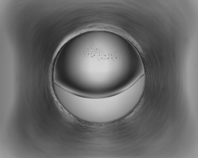 X0000115351530200911101126
